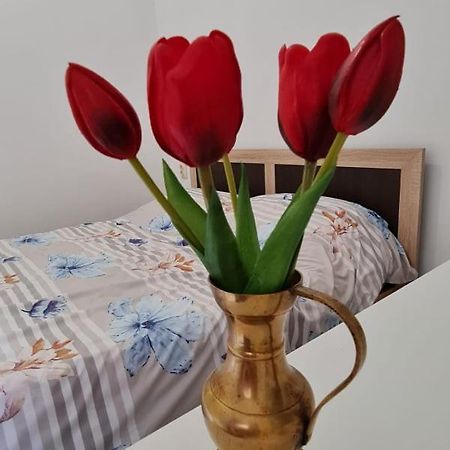 Studio Pico Kluż-Napoka Zewnętrze zdjęcie